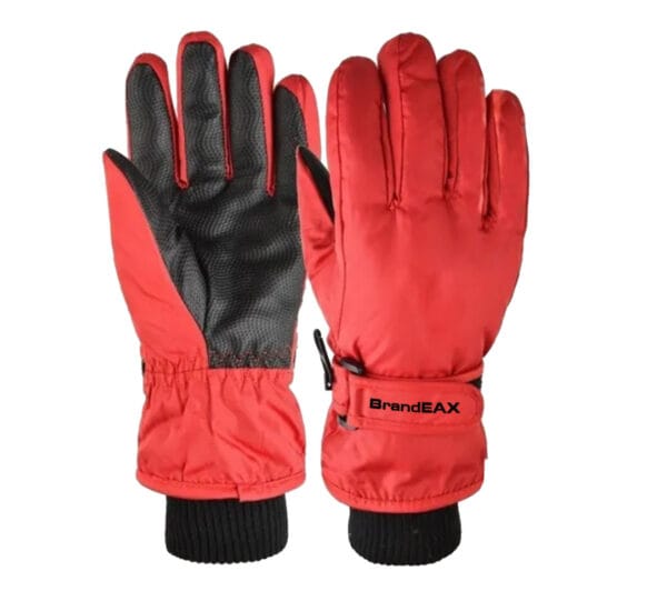 ski gloves